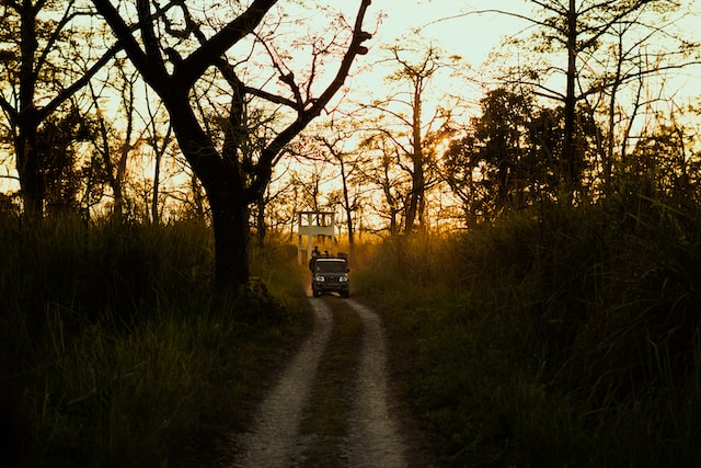 Truck driving on a path through the bush at sunset
