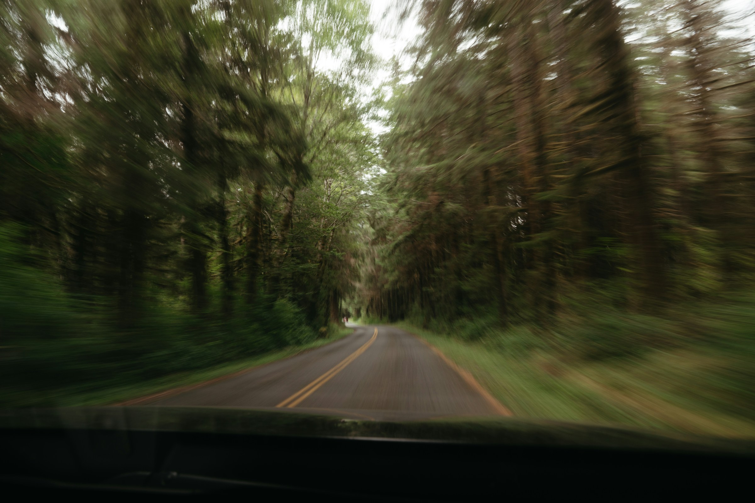 Motion blurred photo of a car driving down a forested road